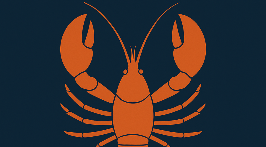 Minimalist orange lobster illustration with the quote ‘Like a lobster shedding its shell to grow, we must allow vulnerability.